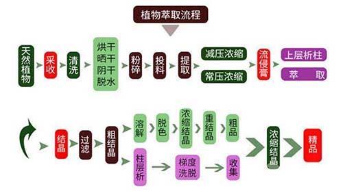 植物多糖提取工藝